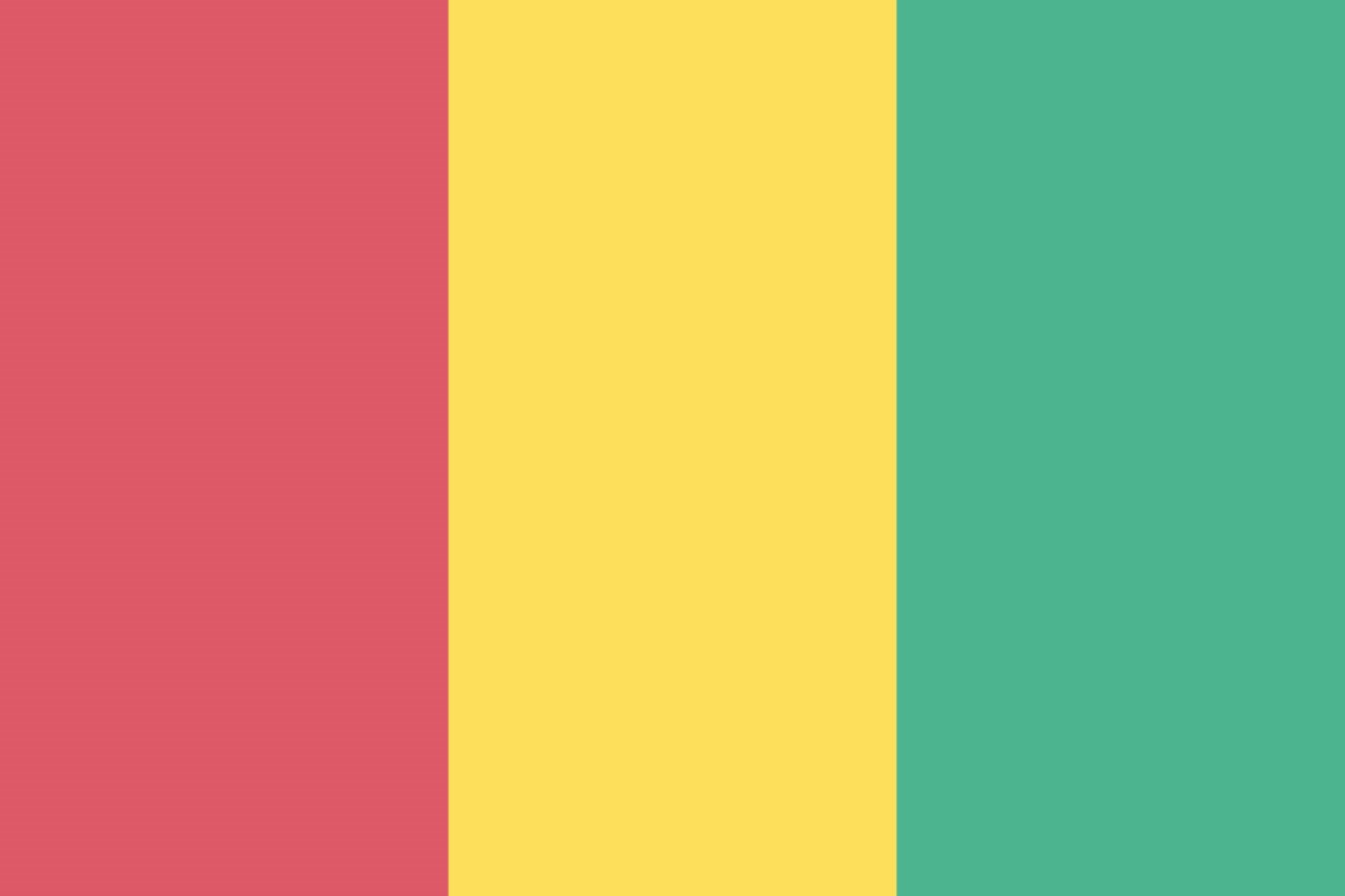 Are you from Guinea? Contact us
